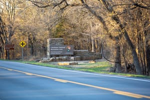 Celebrating a semicentennial