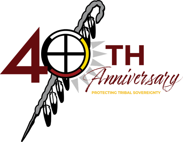 Ernie Stevens Jr. Elected for 13th Term as Chairman of the Indian Gaming Association